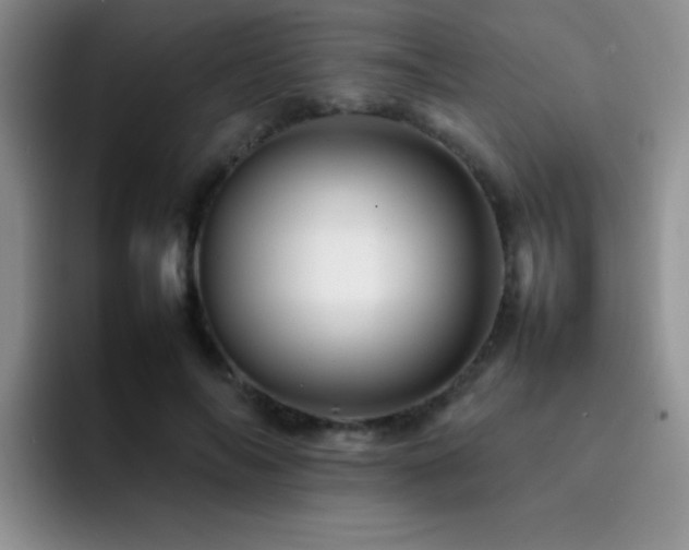 X0000092210694200709141026