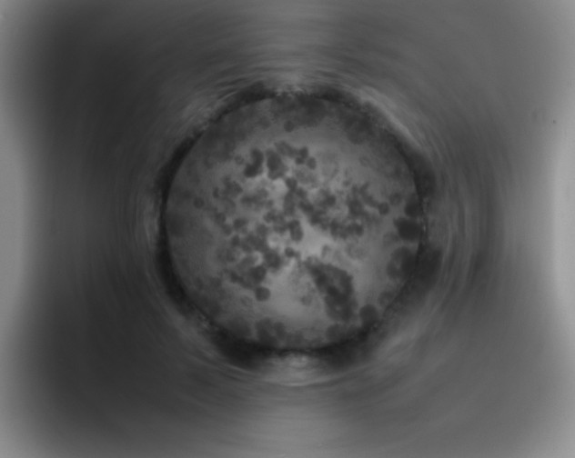 X0000092210695200709141026