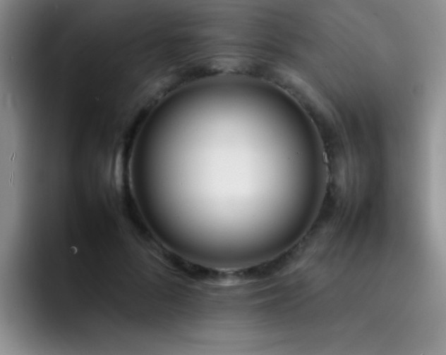 X0000092210696200709141026
