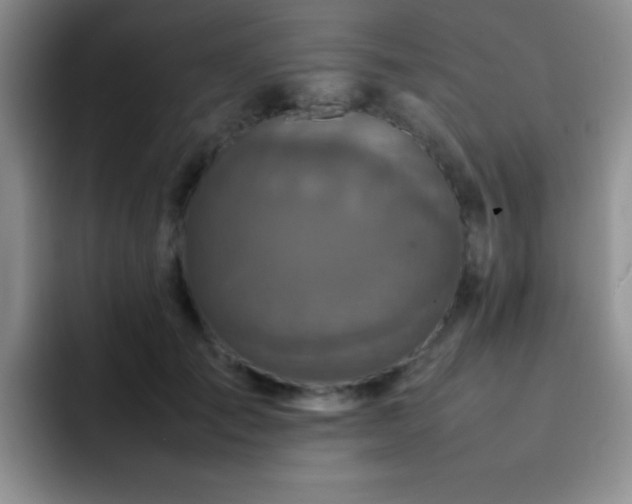 X0000092210701200709141026