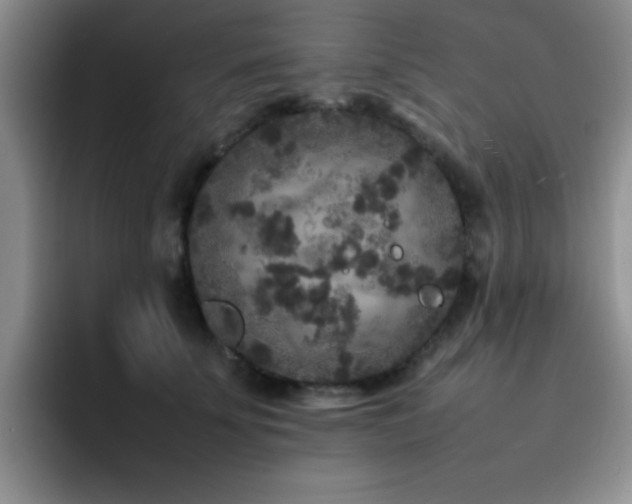 X0000092210707200709141026