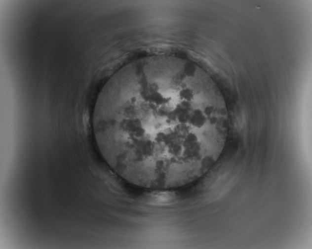 X0000092210711200709141026