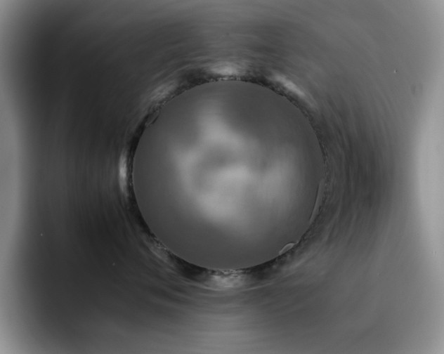 X0000092210720200709141026
