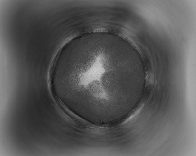 X0000092210725200709141025