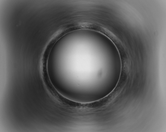 X0000092210730200709141025