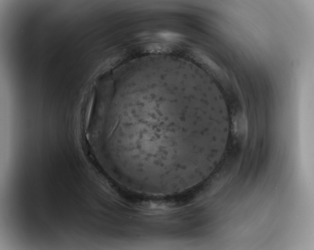 X0000092210733200709141025