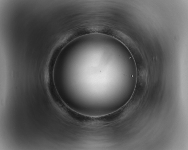 X0000092210734200709141025