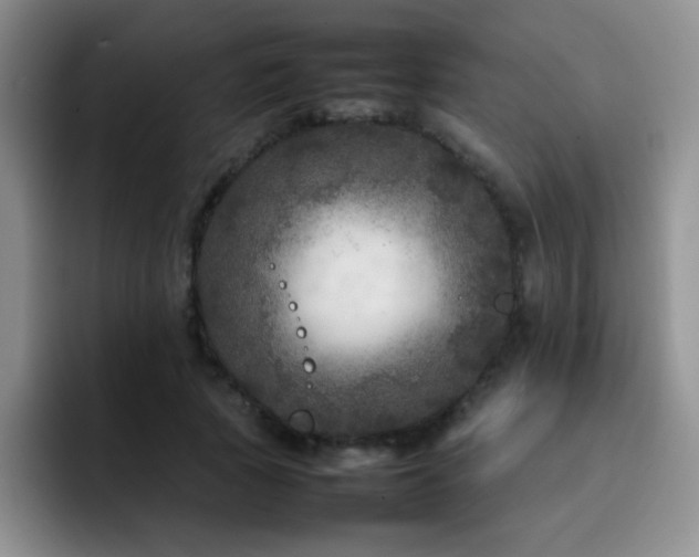 X0000092210737200709141026