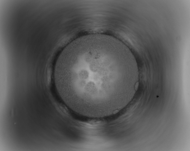 X0000092210742200709141026