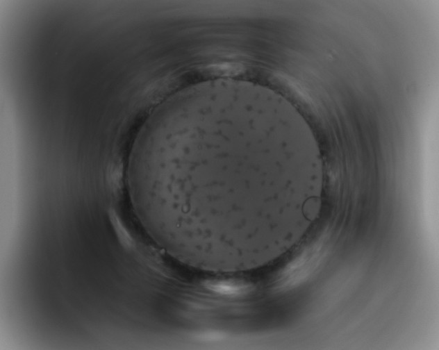 X0000092210745200709141026