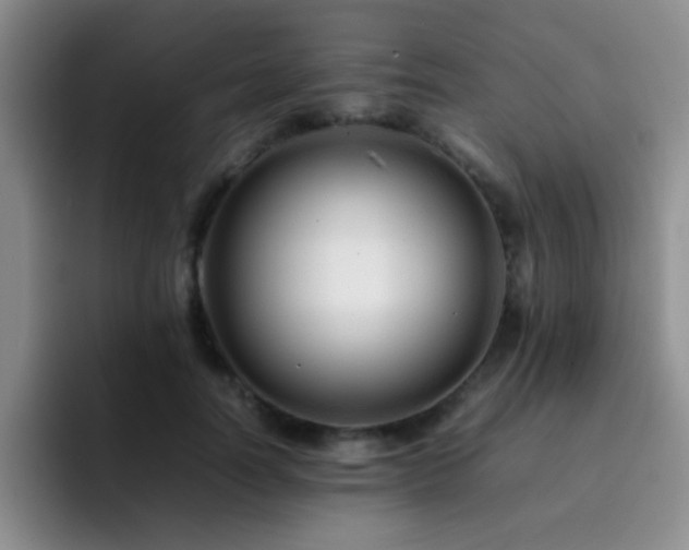 X0000092210746200709141026