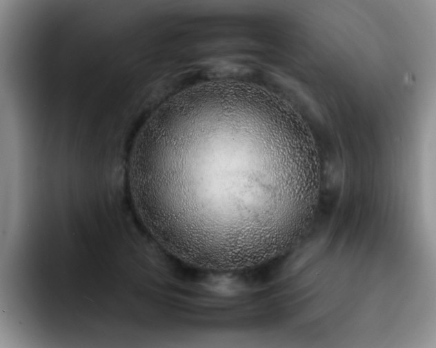 X0000092210753200709141026