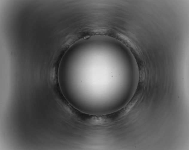 X0000092210764200709141026