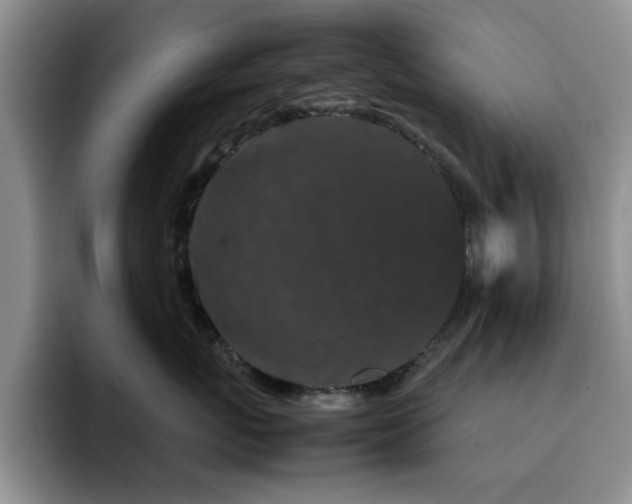 X0000092210767200709141026