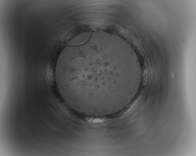 X0000092210772200709141025