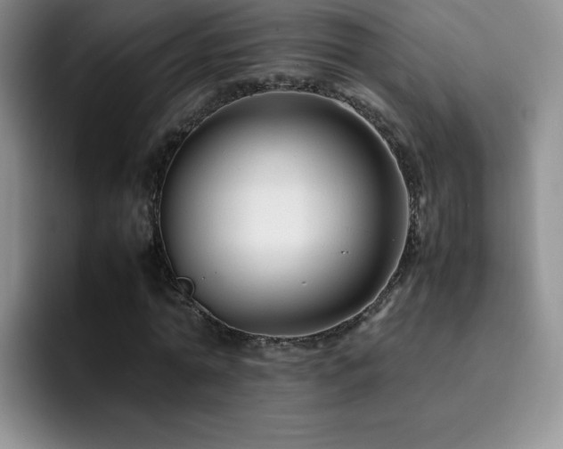 X0000092210774200709141025