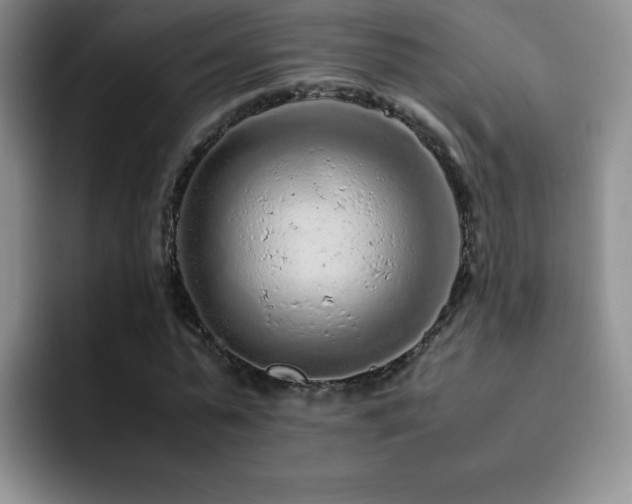 X0000092210775200709141025