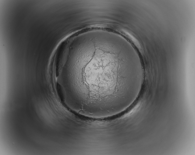 X0000092210779200709141025