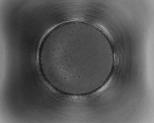 X0000092210780200709141025