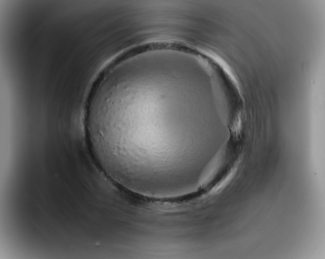 X0000092210783200709141025
