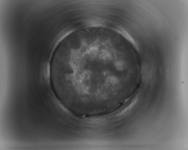 X0000092210790200709141025