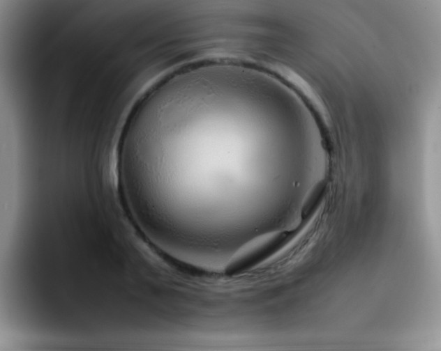 X0000092210791200709141025