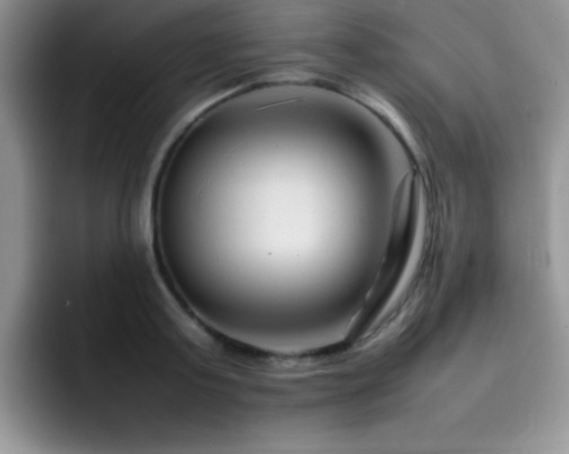 X0000092210795200709141025