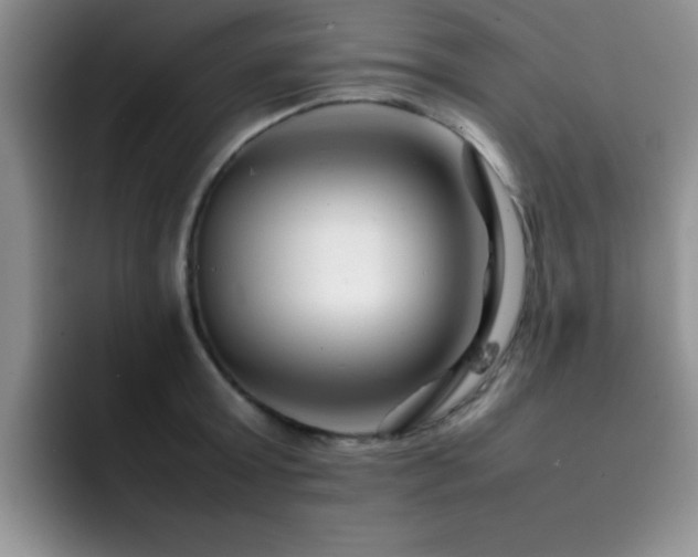 X0000092210803200709141025