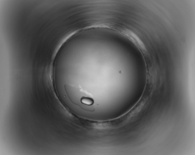 X0000092210804200709141025