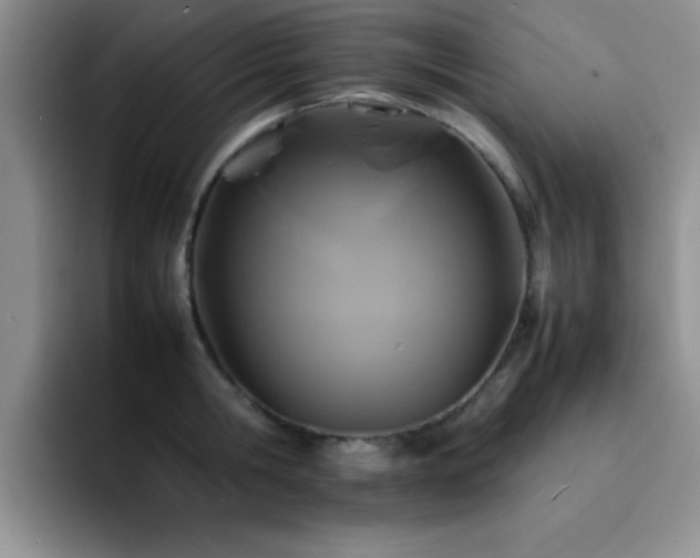 X0000092210806200709141025