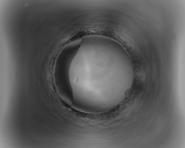 X0000092210817200709141024