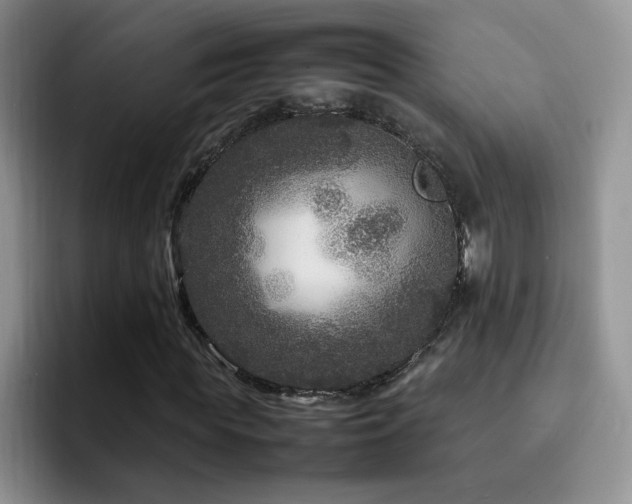 X0000092210819200709141024