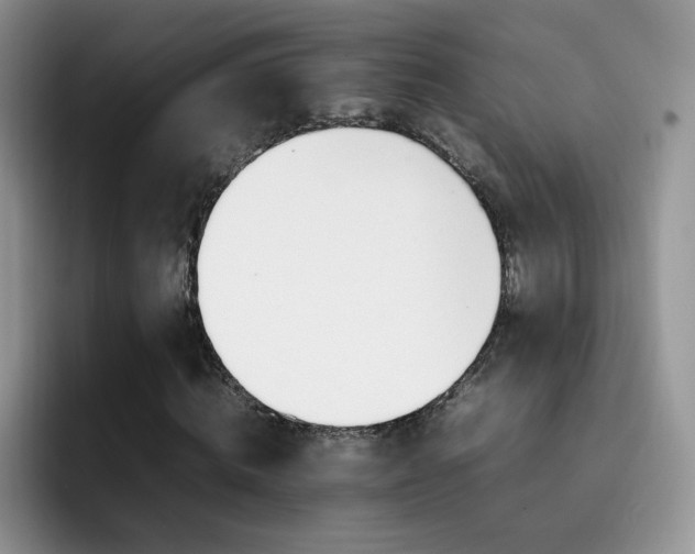 X0000092210820200709141024