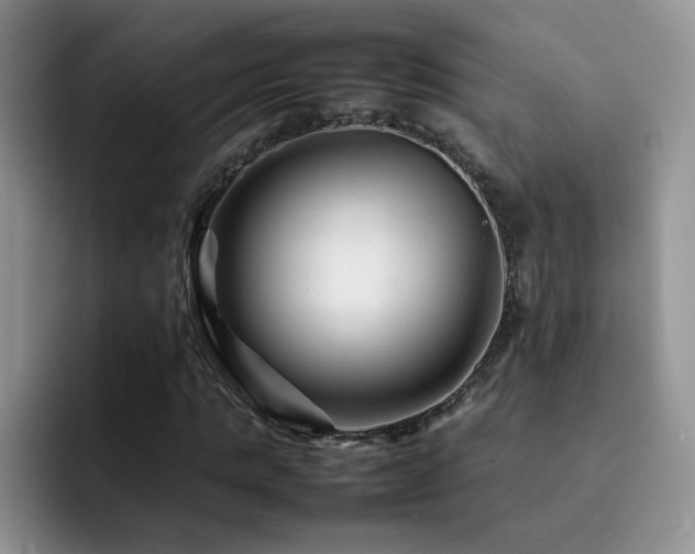 X0000092210821200709141024