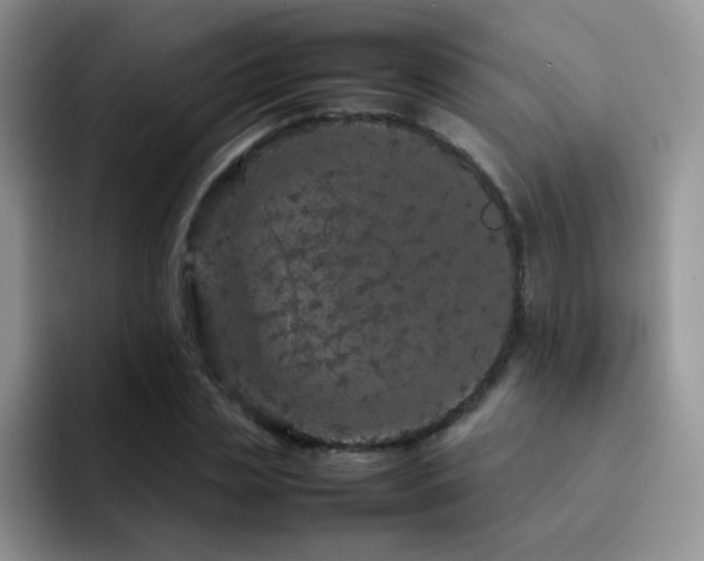 X0000092210829200709141024