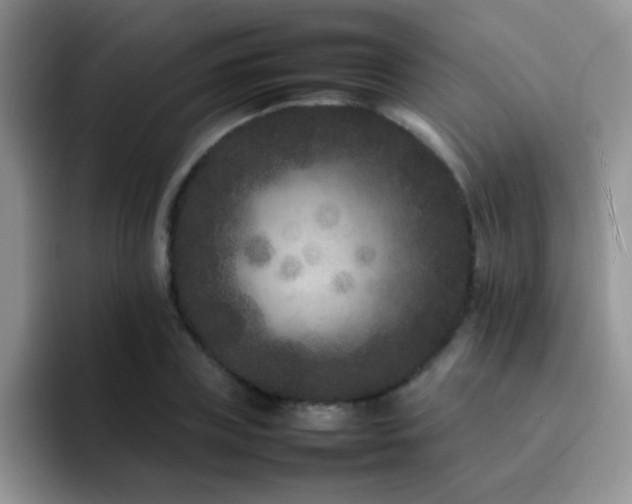 X0000092210835200709141024