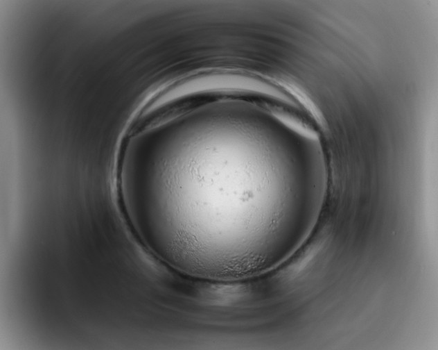 X0000092210845200709141025
