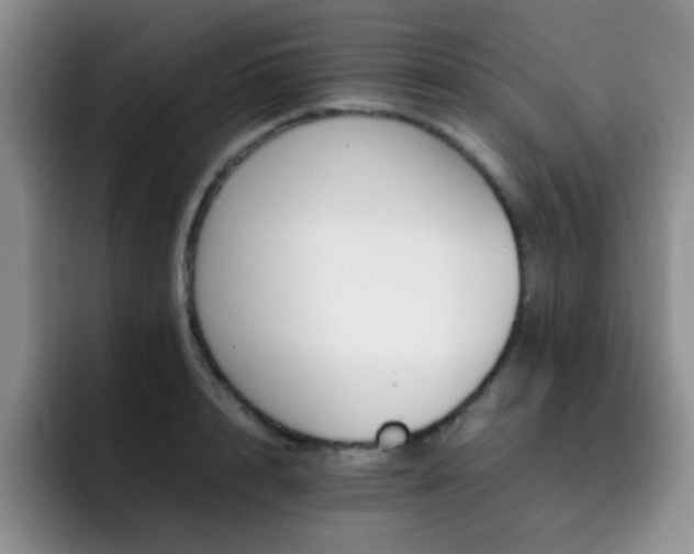 X0000092210848200709141025