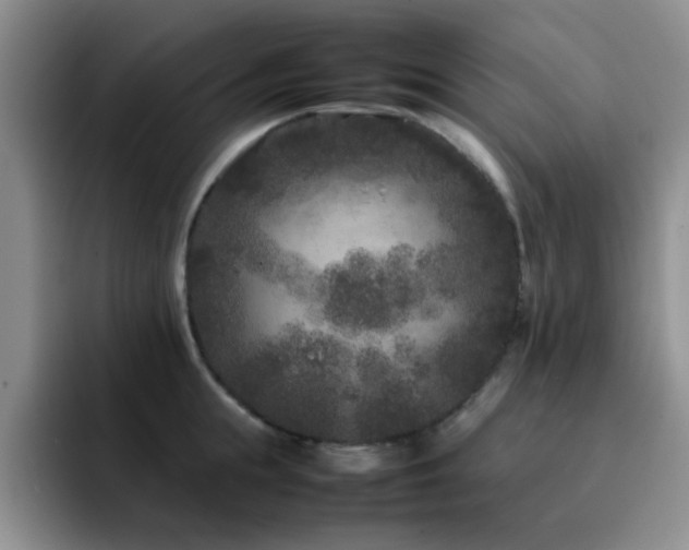 X0000092210855200709141025