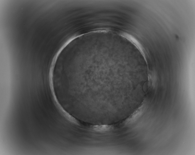 X0000092210859200709141025