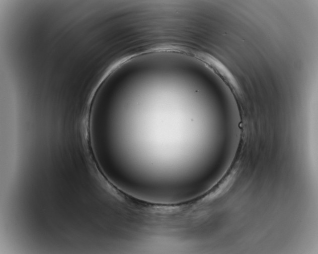 X0000092210860200709141025