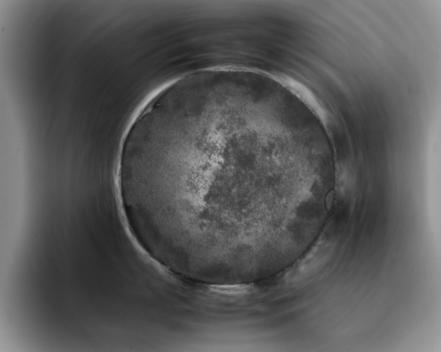 X0000092210863200709141025