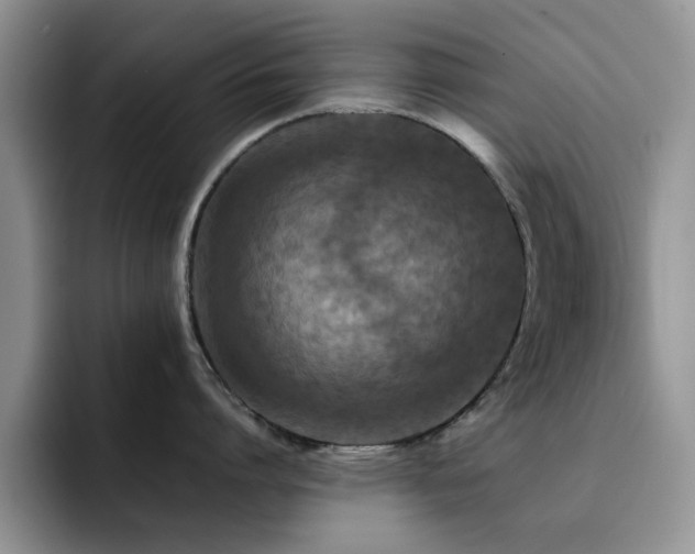 X0000092210864200709141025