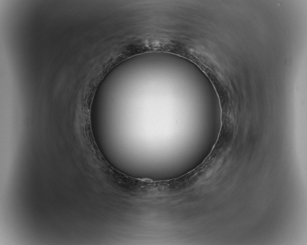 X0000092210865200709141024