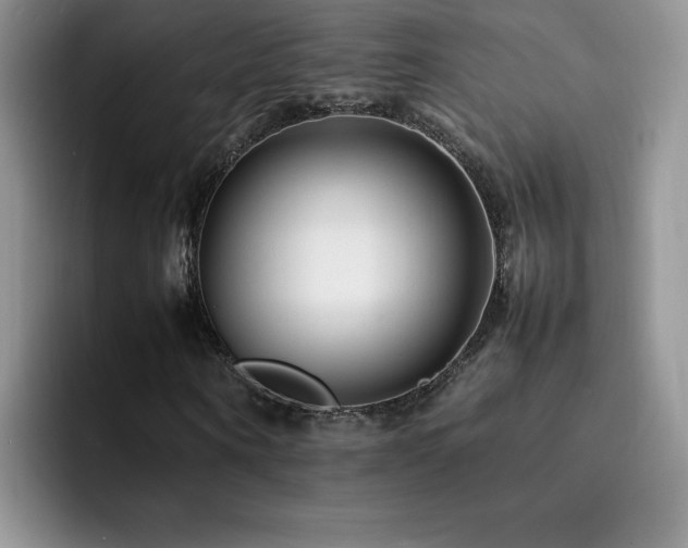 X0000092210866200709141024