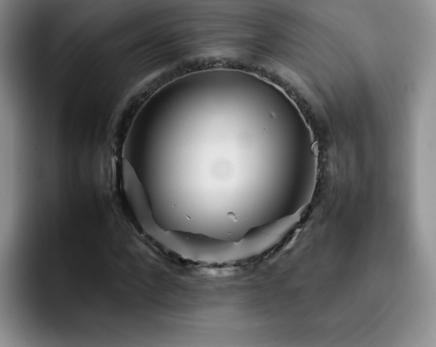 X0000092210872200709141024