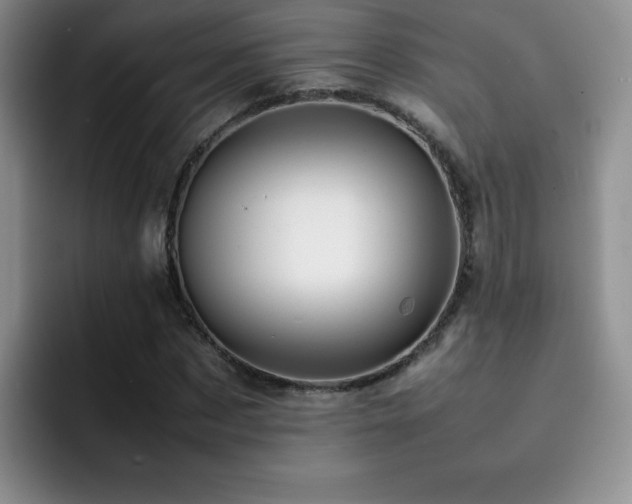 X0000092210873200709141024