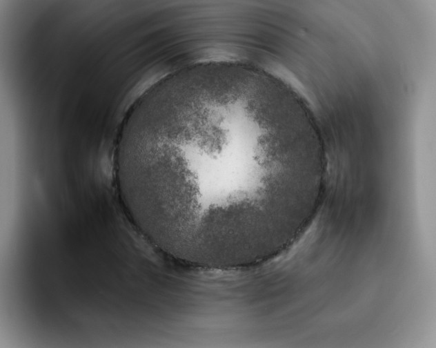 X0000092210874200709141024