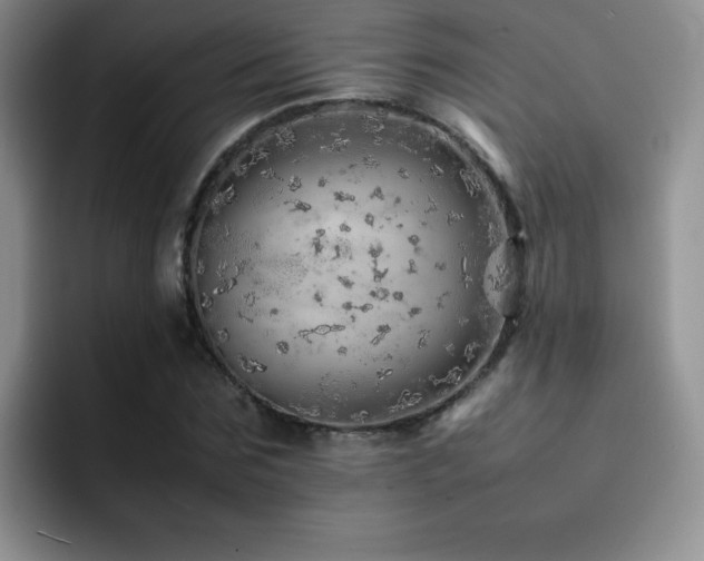 X0000092210875200709141024