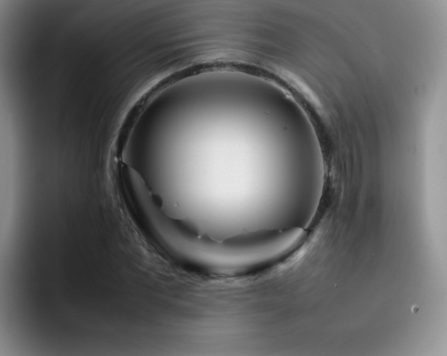 X0000092210877200709141024
